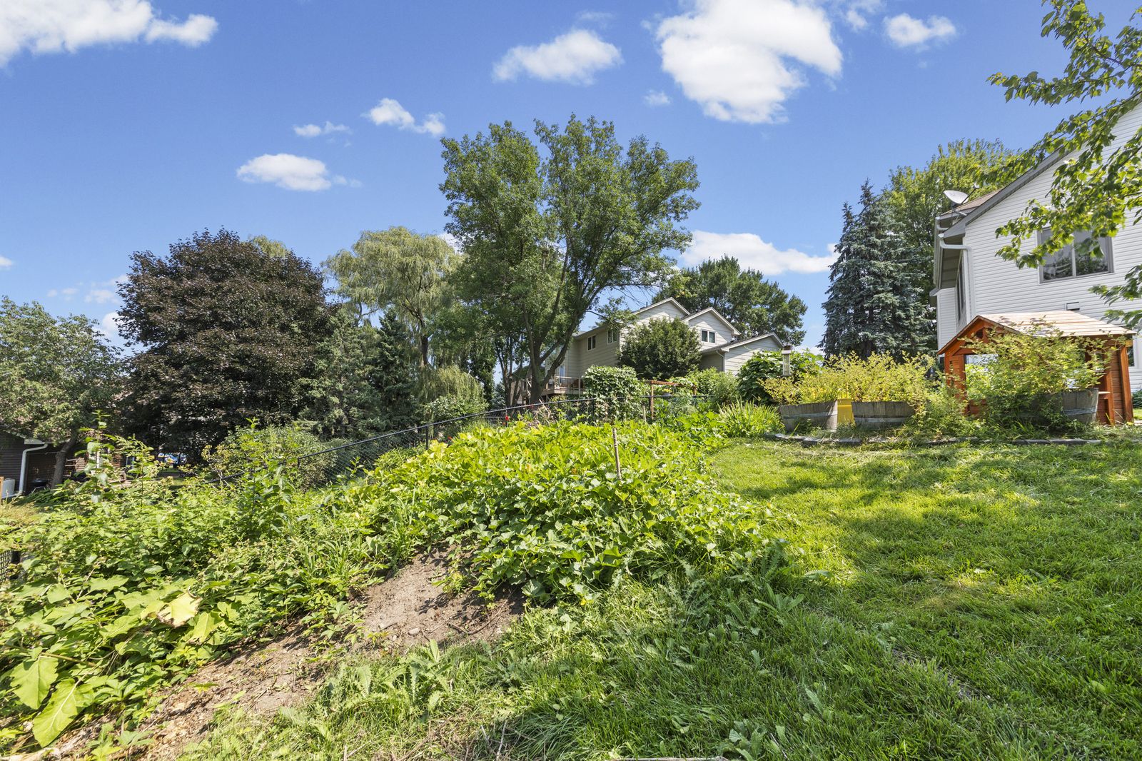 Backyard garden area with trees and shrubs